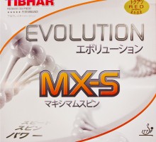 에볼루션 MX-S(EVOLUTION MX-S)